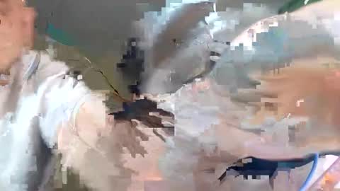 WikiBitch online show from October 10, 2025, 9:25 pm