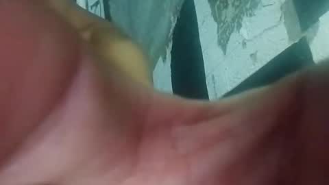 wildasshole123 online show from November 29, 2025, 12:19 pm