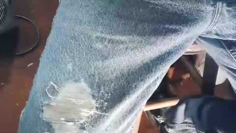 Snapshot of wildman6 chatting on November 9, 2025, 7:34 pm wildman6 online show from November 9, 2025, 7:34 pm