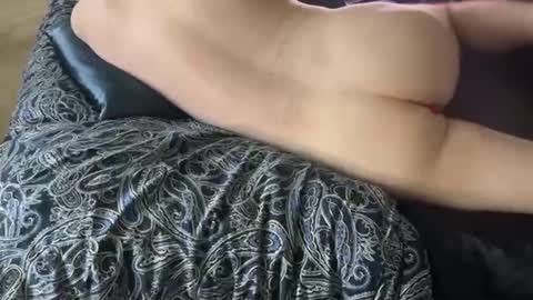 wildtravis online show from February 14, 2026, 4:48 pm