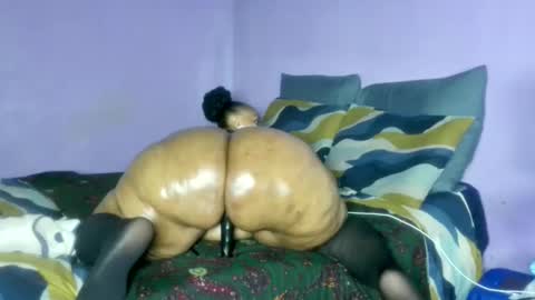 wilmaassylum online show from February 20, 2026, 6:59 am