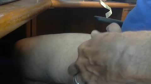 Snapshot of wineman88886 chatting on March 21, 2026, 5:05 pm Wineman88886 online show from March 21, 2026, 5:05 pm