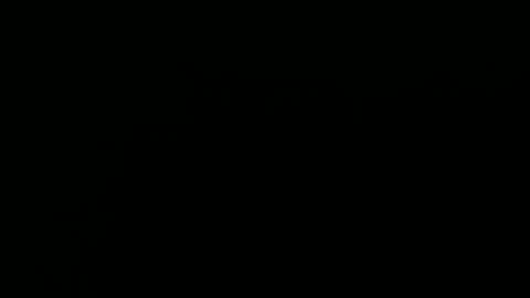 Annie online show from February 13, 2025, 2:23 am