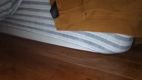 Snapshot of wolfyi chatting on December 16, 2024, 1:10 am Sultan Blaze online show from December 16, 2024, 1:10 am