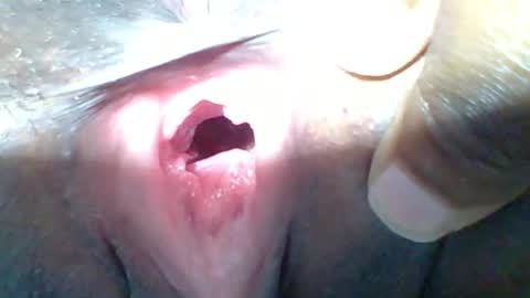 Your black bunny online show from September 13, 2025, 6:57 am