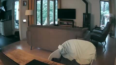 woodwurm and Snoeske online show from February 19, 2026, 7:26 am