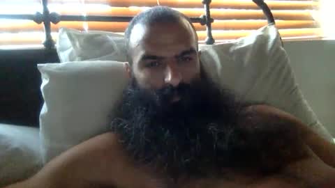 woof_wolf37 online show from February 2, 2026, 3:22 pm