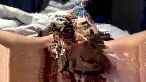 Snapshot of workplace_proximity_associate chatting on September 28, 2025, 12:10 pm workplace_proximity_associate online show from September 28, 2025, 12:10 pm