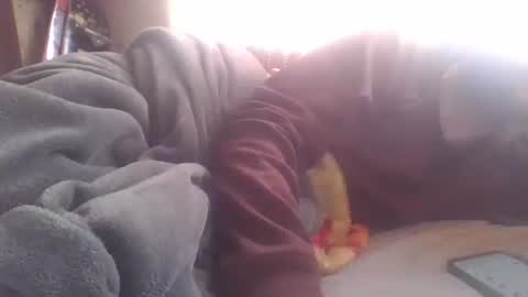 wormaho84 online show from December 30, 2024, 6:49 pm