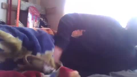 wormaho84 online show from January 7, 2025, 2:41 pm