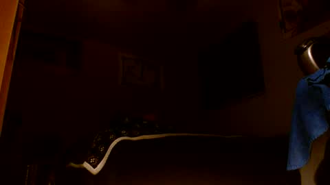 wvuguy1986 online show from March 8, 2026, 5:22 am