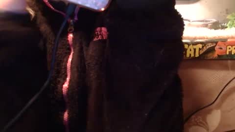 x2kayx2 online show from January 10, 2026, 11:31 pm