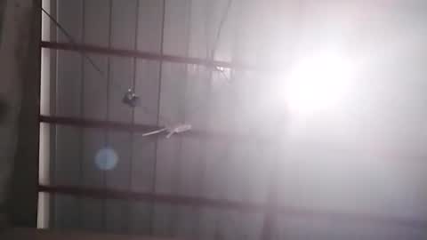 Bella Amor online show from February 24, 2026, 7:17 am