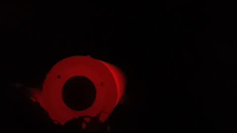 xbb3699 online show from April 12, 2026, 4:56 pm