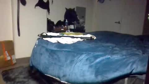 Snapshot of xbigtymerx chatting on December 9, 2024, 2:06 pm Toke online show from December 9, 2024, 2:06 pm