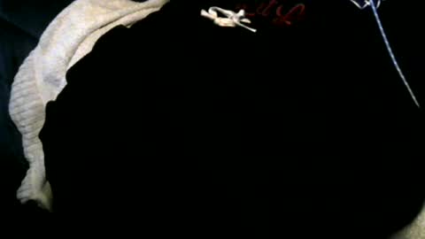 Snapshot of xbigtymerx chatting on December 12, 2024, 6:57 am Toke online show from December 12, 2024, 6:57 am