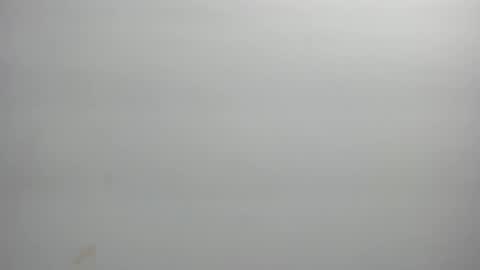 Snapshot of ximena_vasquez8 chatting on February 21, 2026, 3:07 am Xime online show from February 21, 2026, 3:07 am