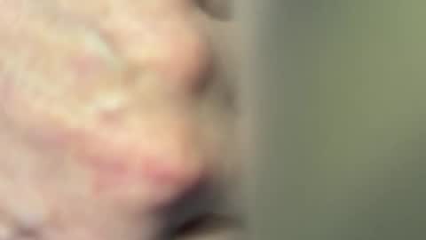 Dada online show from April 26, 2026, 1:09 pm