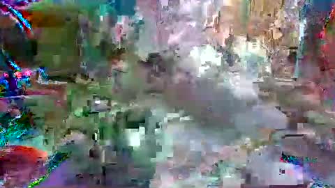 xixo6969 online show from April 12, 2026, 10:37 pm