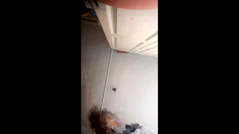 xlwi77 online show from May 31, 2026, 10:22 pm