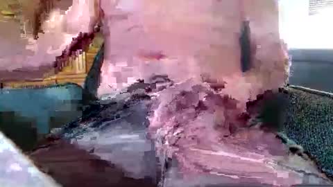 xmen43hot online show from September 18, 2025, 8:49 am