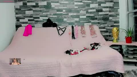 Femboy Exotic online show from July 7, 2026, 6:47 am