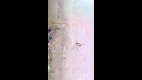 xxjessiebugxx online show from May 13, 2026, 3:26 am