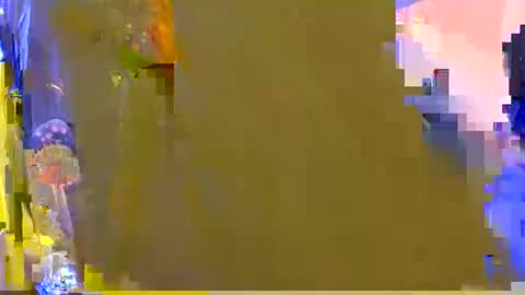 Kelsey online show from February 5, 2026, 3:00 am