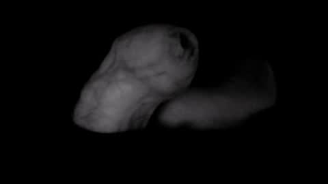 Snapshot of yeasayer004 chatting on October 8, 2025, 1:25 am yeasayer online show from October 8, 2025, 1:25 am