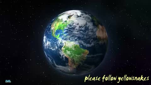 .     y e l l o w s n a k e s       . online show from February 1, 2026, 7:18 am