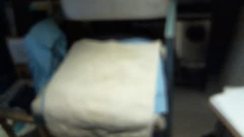 .     y e l l o w s n a k e s       . online show from February 3, 2026, 6:22 am