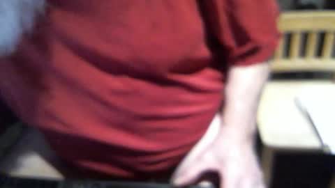 .     y e l l o w s n a k e s       . online show from February 17, 2026, 10:12 am