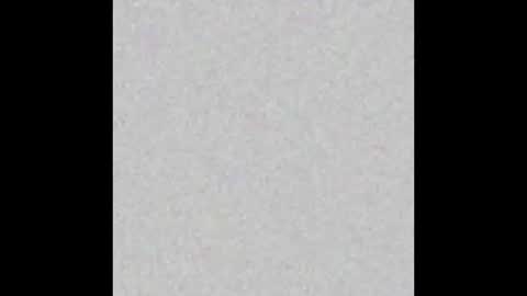 .     y e l l o w s n a k e s       . online show from March 15, 2026, 10:49 pm