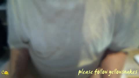 .     y e l l o w s n a k e s       . online show from April 1, 2026, 2:25 pm