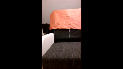 yhoxhbwehhzw online show from April 20, 2026, 12:02 am