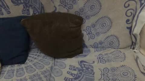 AlexBlack online show from January 11, 2026, 11:54 pm