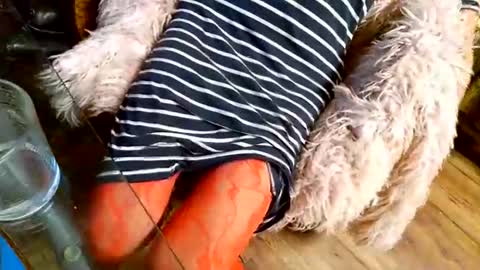 Snapshot of your_dog chatting on December 1, 2025, 4:39 am Taylor Tash online show from December 1, 2025, 4:39 am