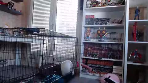 Owned by Hell On Heels online show from March 7, 2026, 9:06 am