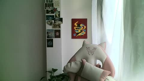 your sttar online show from January 8, 2025, 11:54 am