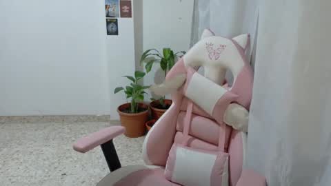 your sttar online show from January 28, 2025, 2:11 am