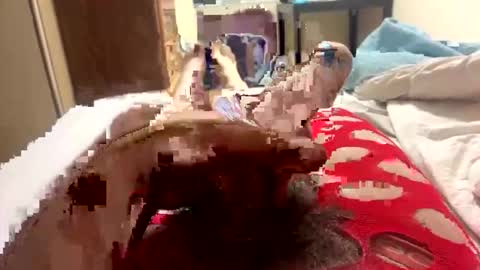 yourcelebritycrush online show from March 30, 2026, 6:36 am