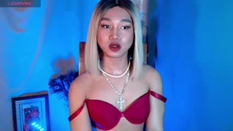 Stella online show from June 14, 2026, 7:43 am