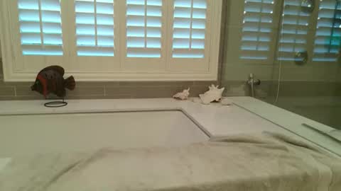 yttims online show from February 1, 2026, 3:43 pm