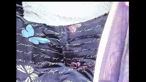 Snapshot of yukiodavis chatting on October 10, 2025, 1:48 am Yukio Davis  online show from October 10, 2025, 1:48 am