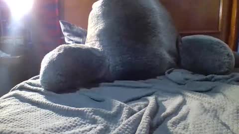 Fire 0range kush online show from December 19, 2025, 10:28 pm