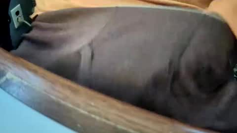 Snapshot of yuppers1234 chatting on December 19, 2025, 4:36 pm yuppers1234 online show from December 19, 2025, 4:36 pm