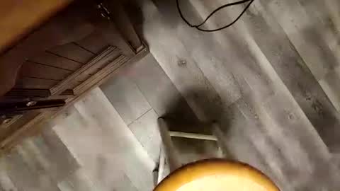 yupthatshim online show from January 23, 2025, 5:35 am