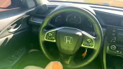 Snapshot of zadddy209 chatting on December 20, 2024, 7:39 pm zadddy209 online show from December 20, 2024, 7:39 pm