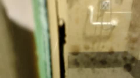 ZUL online show from February 9, 2026, 1:53 am