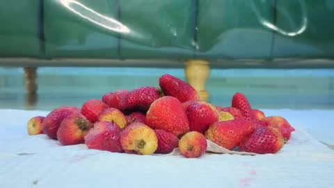 Isabella online show from March 31, 2026, 12:49 pm